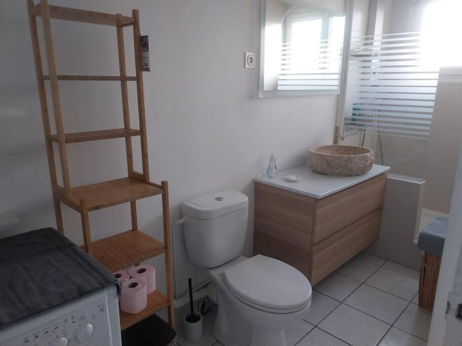 Charmant T3 A 10 Min Orly Avec Jardin Privee - Arrivee Autonome Athis-Mons Ngoại thất bức ảnh